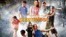 Shameless: The Complete Second Season Poster 3