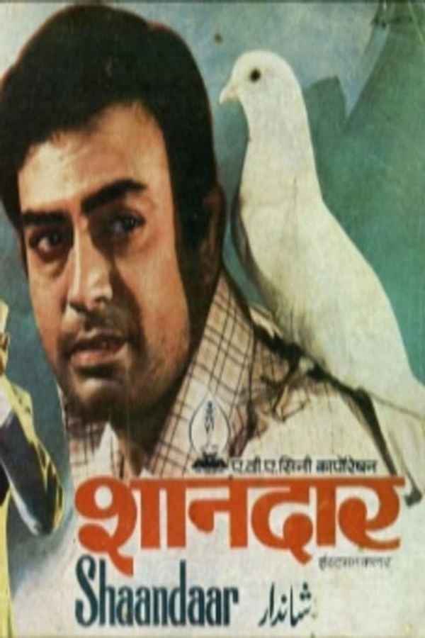 Shandaar Poster 7