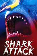 Shark Attack Poster 7
