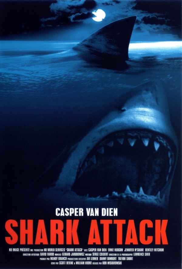 Shark Attack Poster 1