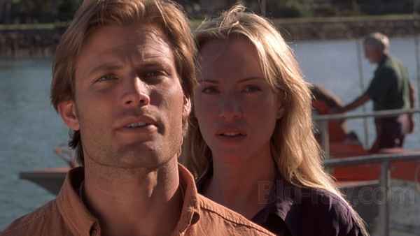 Shark Attack Poster 6