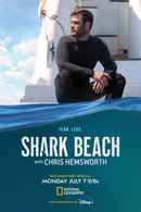 Shark Beach with Chris Hemsworth Poster 6