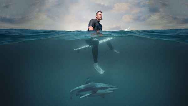 Shark Beach with Chris Hemsworth Poster 7