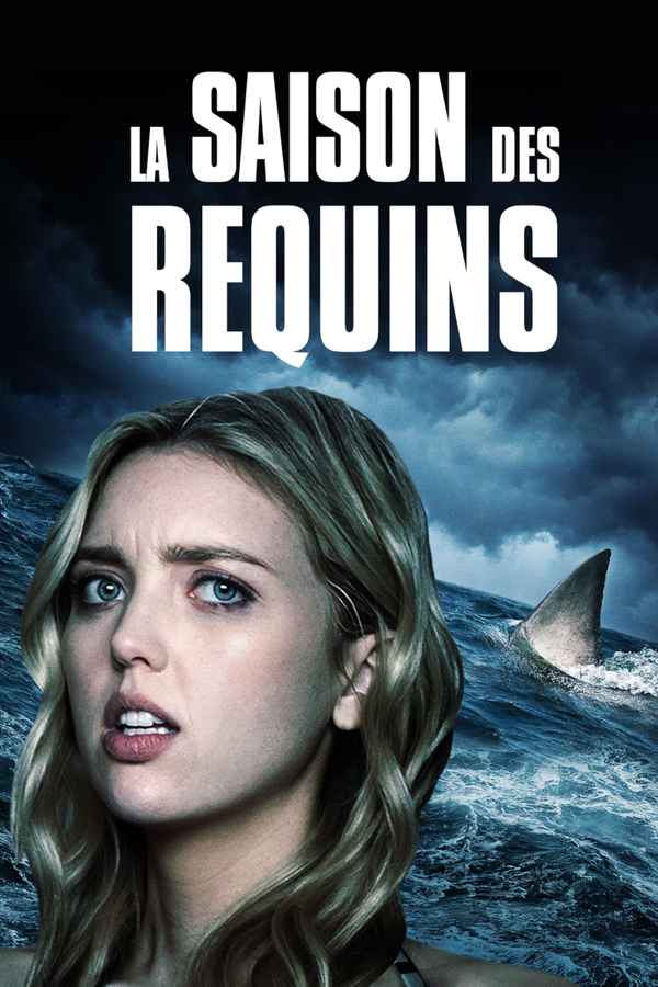 Shark Season Poster 4