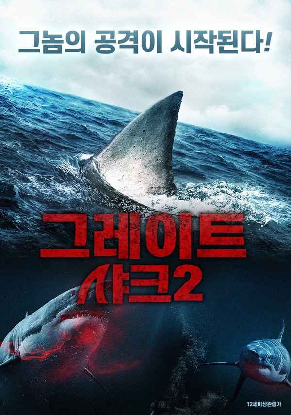 Shark Season Poster 5