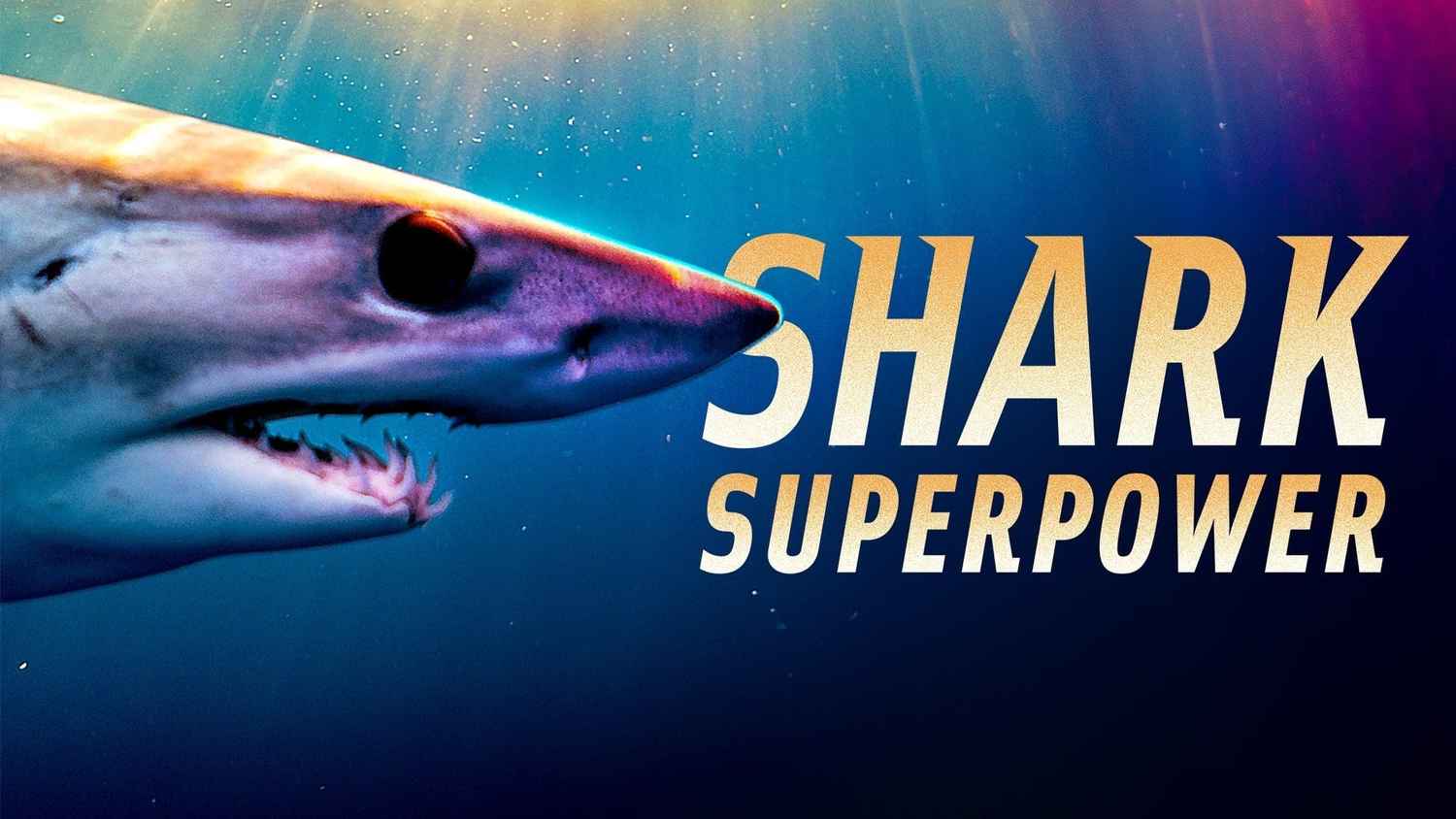 Shark Superpower Movie (2022) Release Date, Cast, Trailer, Songs