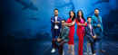 Shark Tank India Poster 3