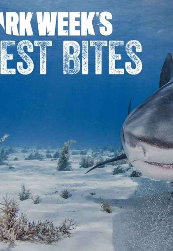 Shark Week's 50 Best Bites Poster 2