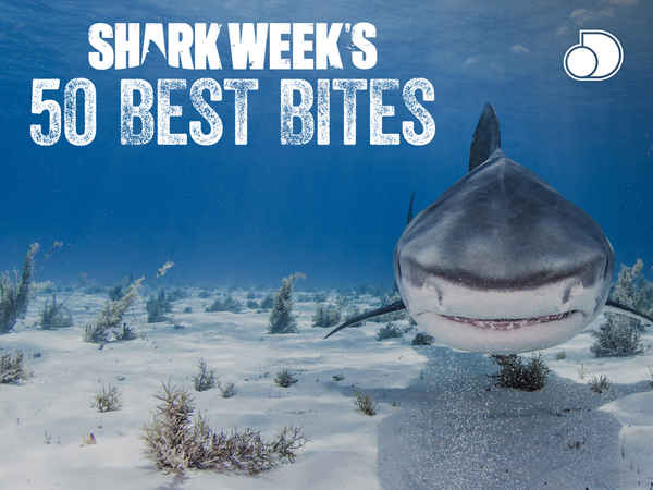 Shark Week's 50 Best Bites Poster 1