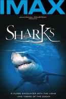 Sharks 3D Poster 4