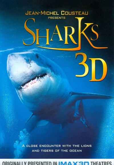 Sharks 3D