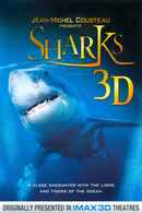 Sharks 3D Poster 3