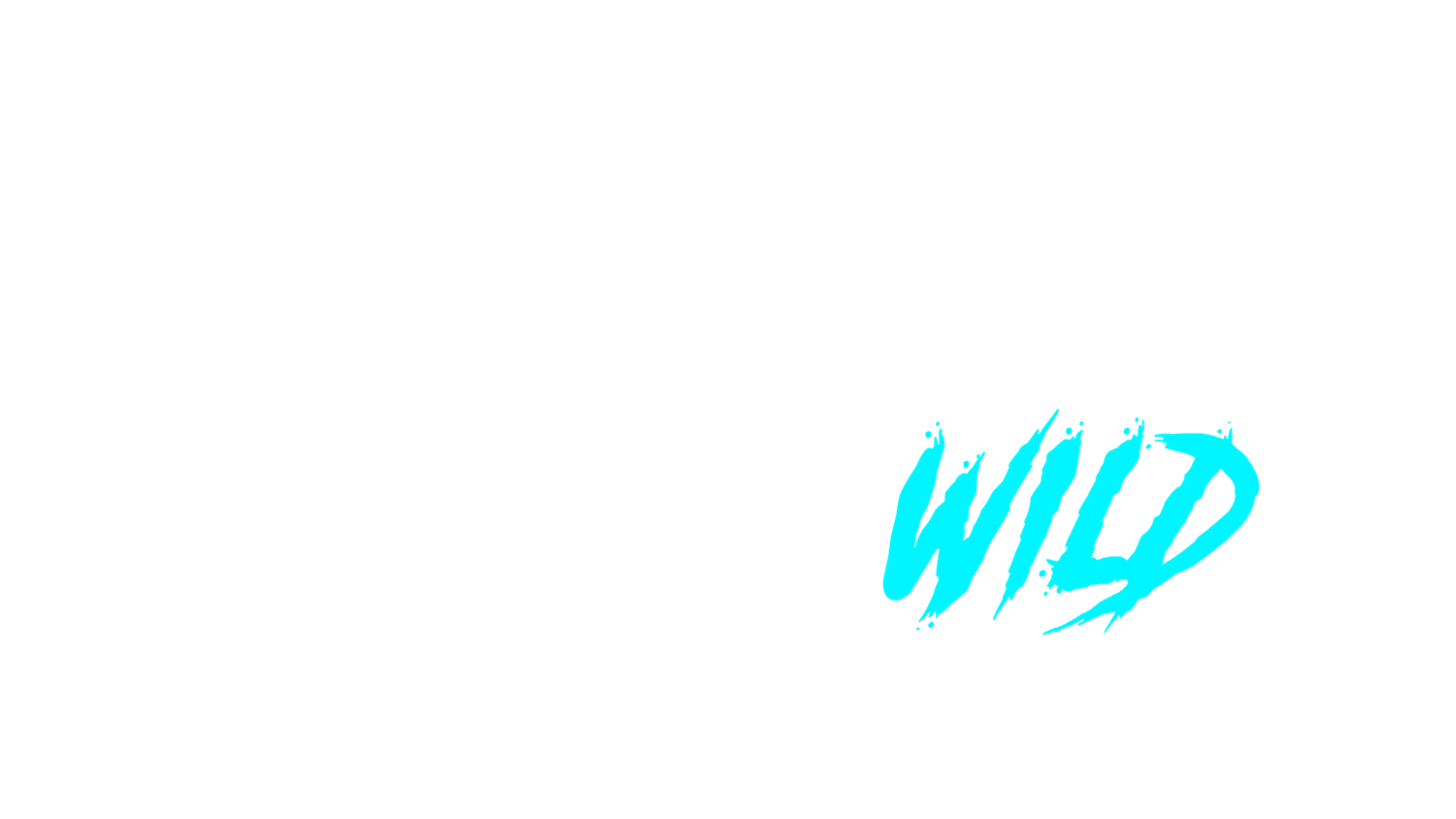 Sharks Gone Wild 3