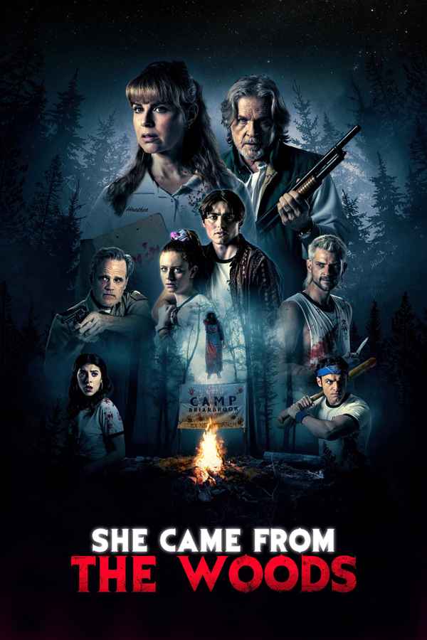 She Came From The Woods Poster 7