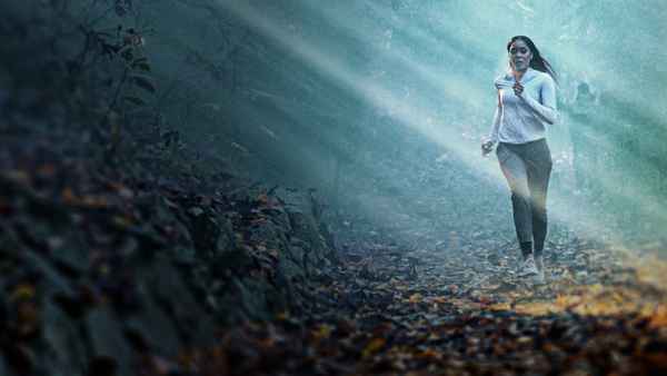 She Went Missing Poster 5