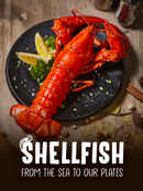 Shellfish: From The Sea To Our Plates Poster 1