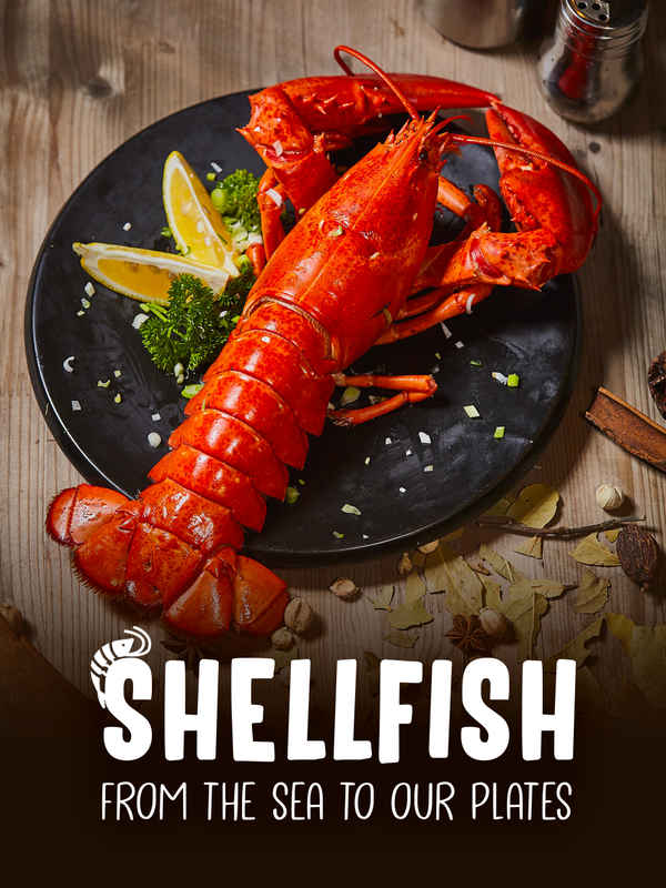 Shellfish: From The Sea To Our Plates Poster 1