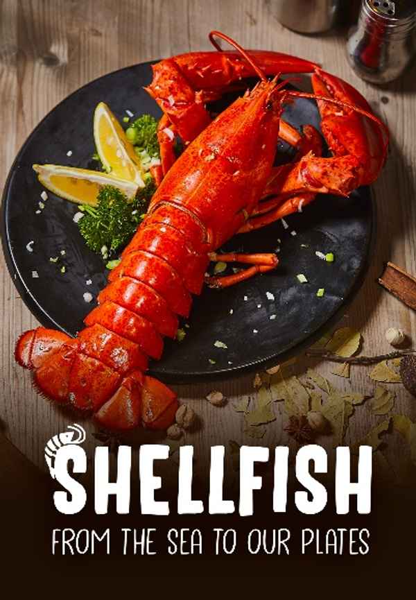 Shellfish: From The Sea To Our Plates Poster 6