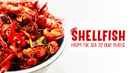 Shellfish: From The Sea To Our Plates Poster 3