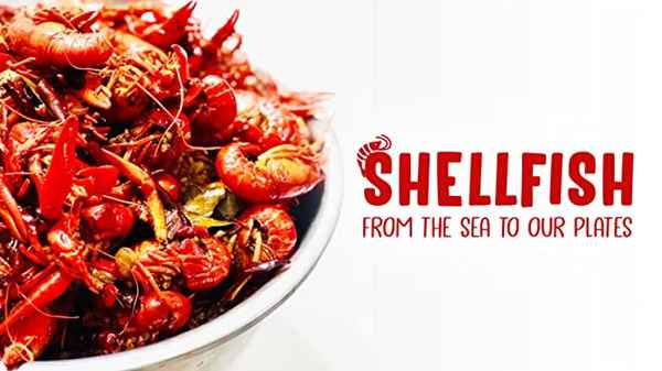 Shellfish: From The Sea To Our Plates Poster 3