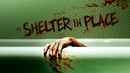 Shelter in Place Poster 2