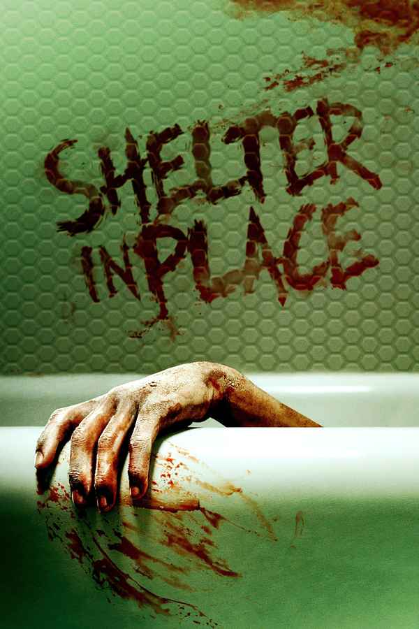 Shelter in Place Poster 5