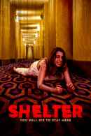 Shelter in Place Poster 6