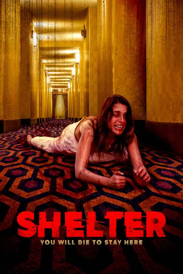 Shelter in Place Poster 6