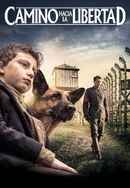 Shepherd: The Hero Dog Poster 7