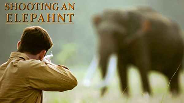 Shooting an Elephant Poster 6