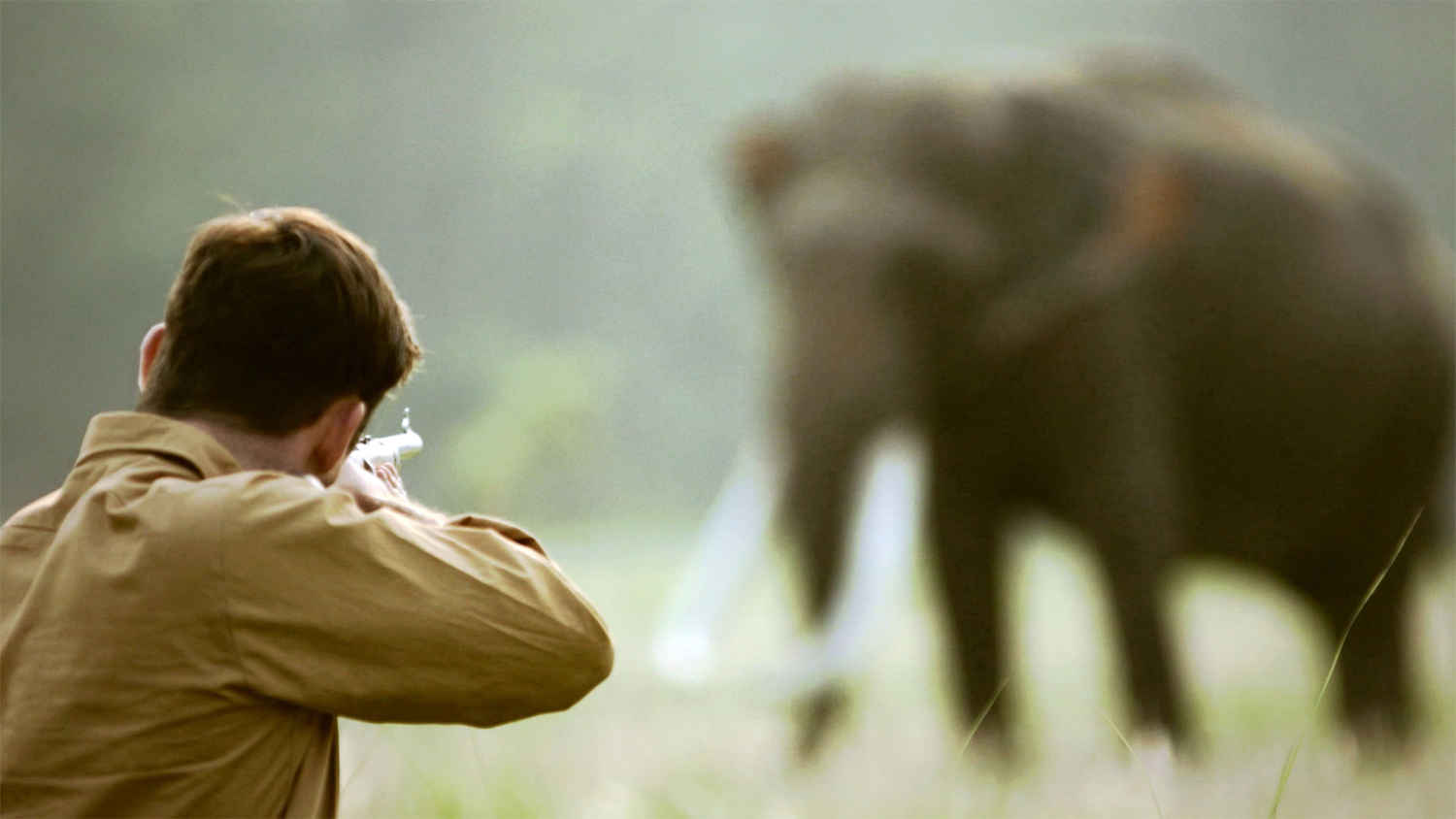 Shooting an Elephant