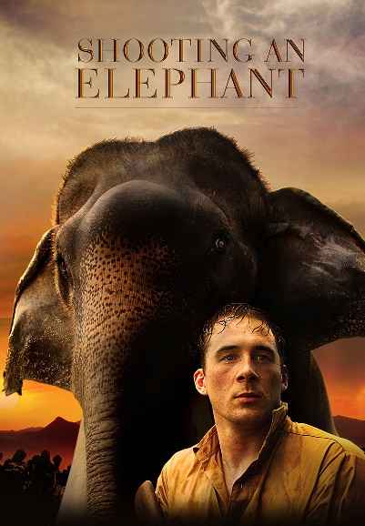 Shooting an Elephant