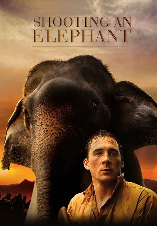 Shooting an Elephant Poster 7