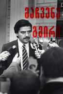 Show Me A Hero Poster 7