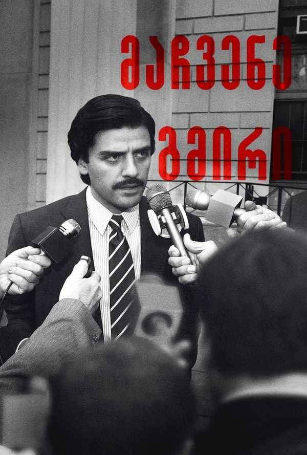 Show Me A Hero Poster 7