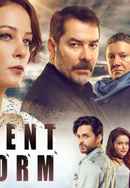 Silent Storm 1 Poster 6