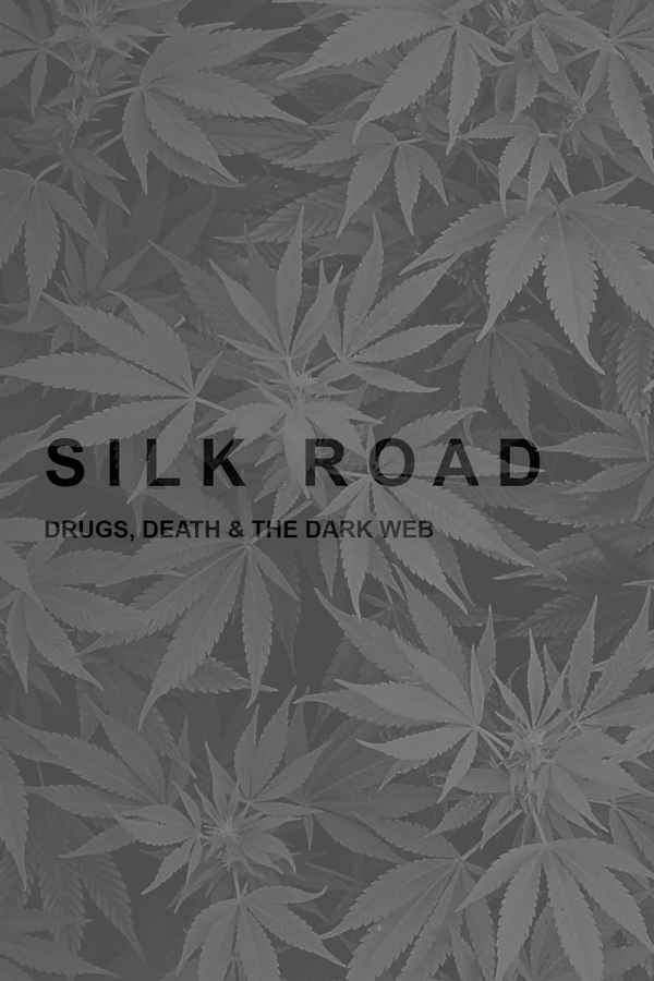 Silk Road: Drugs, Death and the Dark Web Poster 2