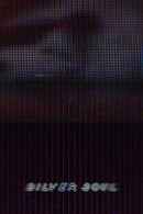 Silver Soul Poster 1