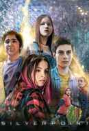 Silverpoint Poster 5