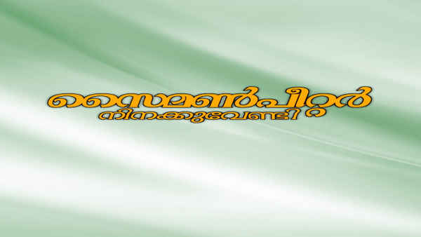 Simon Peter Ninakku Vendi Poster 2