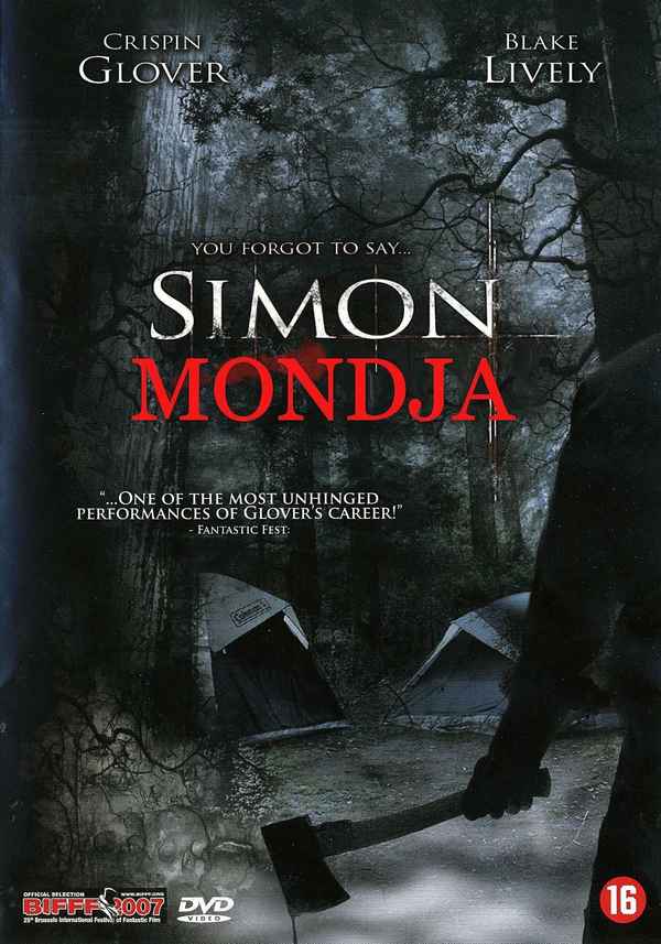 Simon Says Poster 6