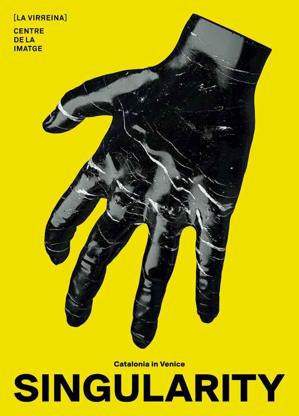 Singularity Poster 6