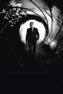 Skyfall Poster 6