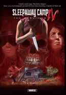 Sleepaway Camp IV: The Survivor Poster 5