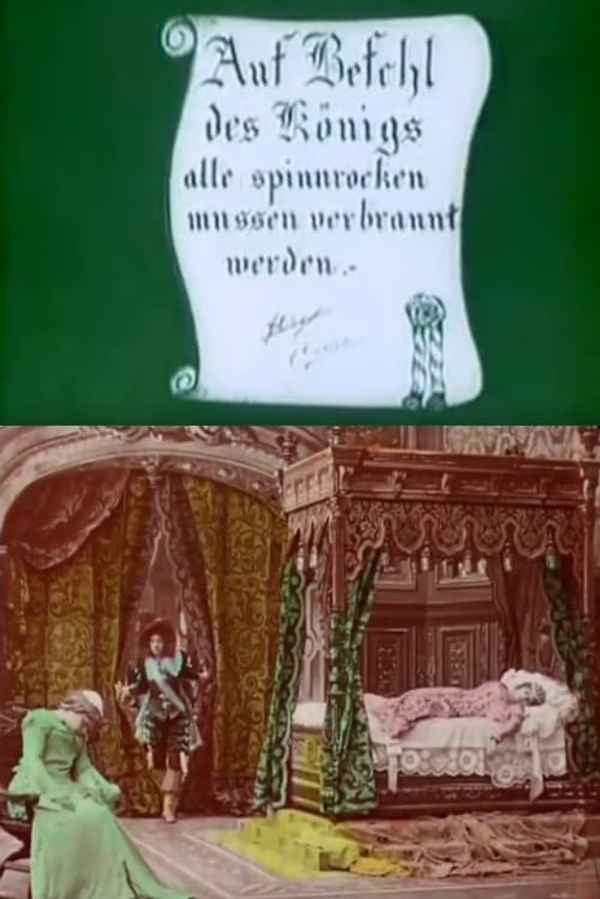 Sleeping Beauty Poster 1