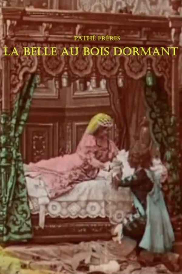 Sleeping Beauty Poster 2