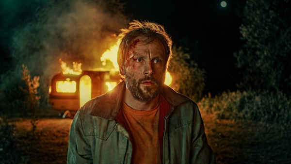 Sleeping Dog Poster 6