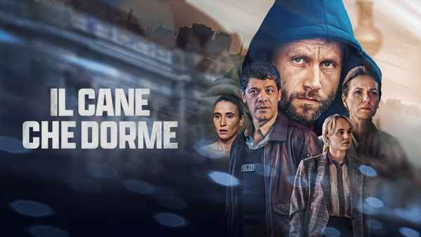 Sleeping Dog Poster 3