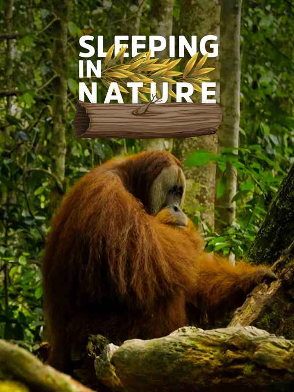 Sleeping in Nature Poster 1
