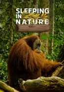 Sleeping in Nature Poster 6